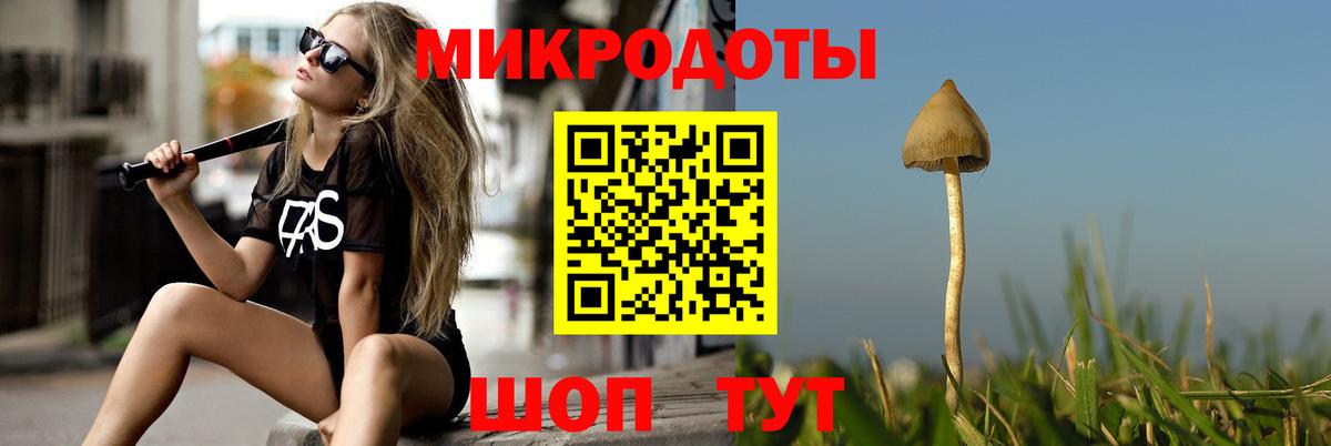 Псилоцибиновые грибы мицелий  Вход с VPN  Алексин 